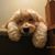 Emily Collins's profile image