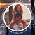 Rachel Werne's profile image