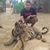 Javier Gutierrez's profile image