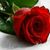 Judy Eldridge's profile image