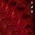 Holly Elizabeth Gartin's profile image