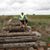 Sergio Flores Gonzalez's profile image