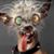 Sylwia Piękoś's profile image