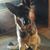 Verna Caplin's profile image