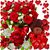 Donna Quick's profile image