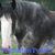Vickie Moore's profile image