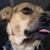 Kemberely Tester Hamm's profile image