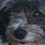 Genevieve Roberts's profile image
