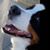 Lexi Berner's profile image
