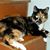 Connie Mautz-Wheeler's profile image