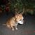 Kim Smith's profile image