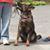 Holly Styrychalski's profile image