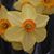 Maria Lupe Wright's profile image