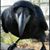 Gary Miller's profile image