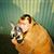 Peggy Schneider Brown's profile image