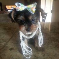 Maria Gonzalez's profile image