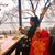 Minnie Zheng's profile image