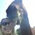 Kelly Rieser's profile image
