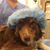 Chrissie Canine-Rose's profile image