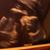Drea Smiley's profile image