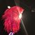 Shihue Tu's profile image