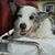 Craig Sowerby's profile image