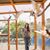 Elizabeth Young's profile image
