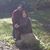 Melanie Johnson's profile image
