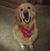 Lori Vanderwall's profile image