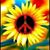 Cathy Green's profile image