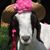 Barbara Peterson's profile image