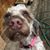 Kristen Krentler-Snider's profile image