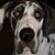 Jennifer Uhlhorn's profile image