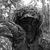 Thierry Garcia's profile image