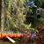 Michael J Barbier's profile image