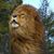 Anielka Ivonne Velasquez's profile image