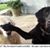 Allan Pichler's profile image