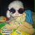 Patricia Santos's profile image