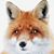 Karen Johnson's profile image