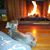 Judy Bowles's profile image