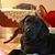 Susan Mason-Kermes's profile image