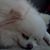 Robin A. Miller's profile image