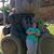 Mandi M. Smith's profile image