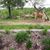 Michele Schempp's profile image