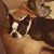 Cheryl P Brewer's profile image
