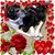 Betsy Nattrass Clarke's profile image