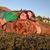 Julie Walsh's profile image