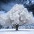 Sandi Wardell Christiansen's profile image