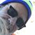 Mike Langer's profile image