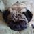 Richelle South's profile image